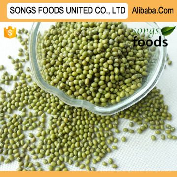 Food Market Green Mung Beans New Crop